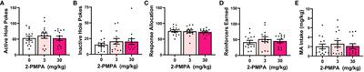 Effects of systemic pretreatment with the NAALADase inhibitor 2-PMPA on oral methamphetamine reinforcement in C57BL/6J mice